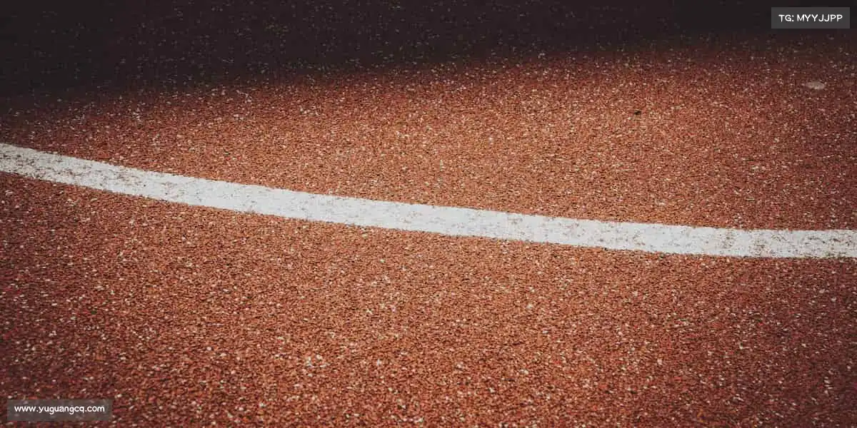 为什么选择我们